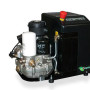 COMPRESOR CU SURUB 230V